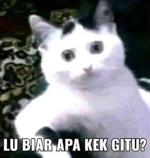 PP